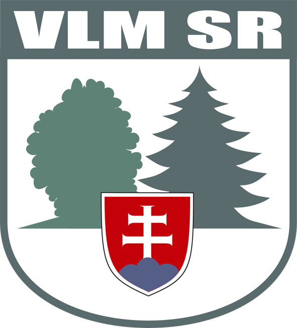 Vlm-SR_logo.png