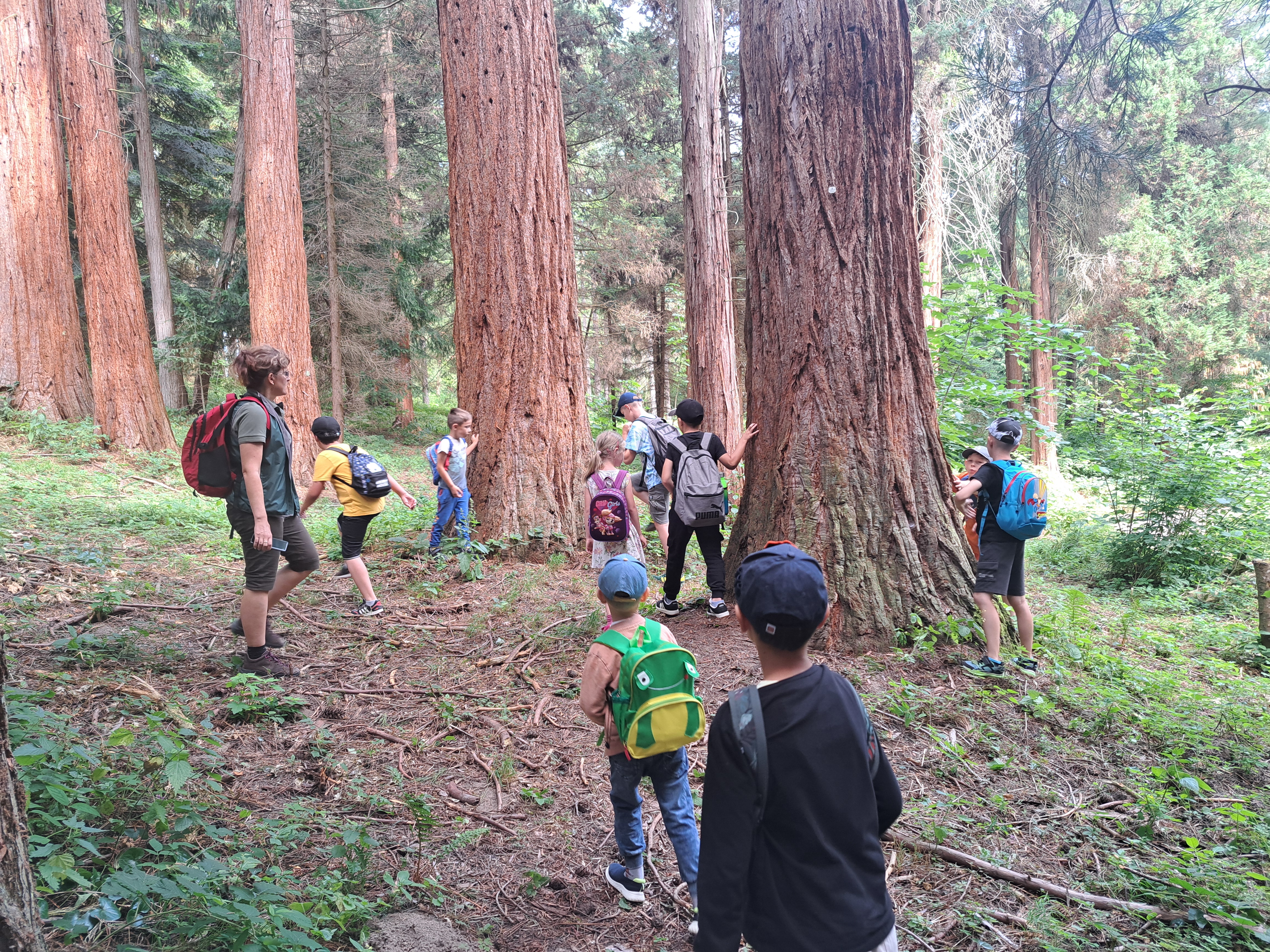 kozelnik tabor 8-25 (3)